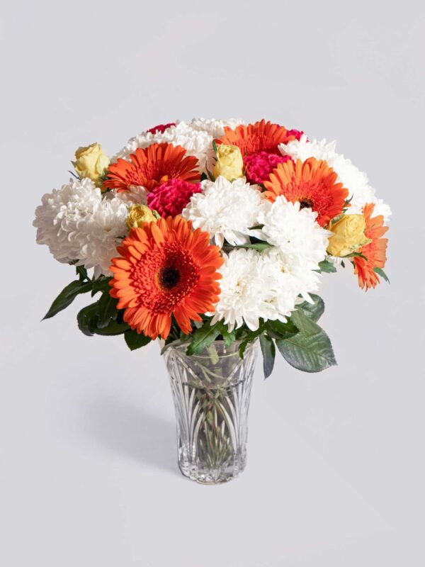 Send Gerbera Flower Online | Buy Gerbera Flower Bouquet - Lafleur