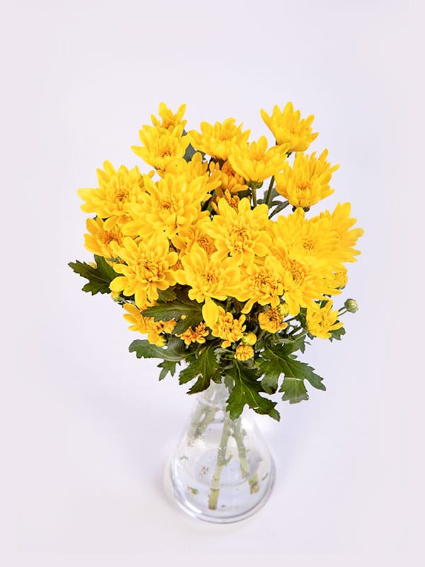 Buy Chrysanthemum Bouquet | Send Chrysanthemums Bouquet : La Fleur