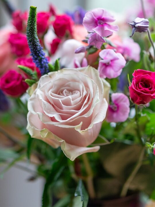 Order Flowers Online Fresh Flowers Online Delivery LaFleur