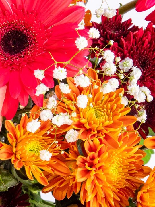 Order Flowers Online Fresh Flowers Online Delivery LaFleur